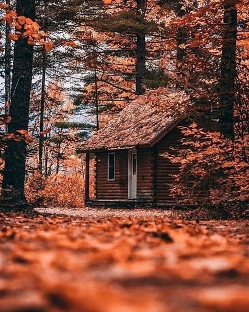 Fall trees with cozy cottage